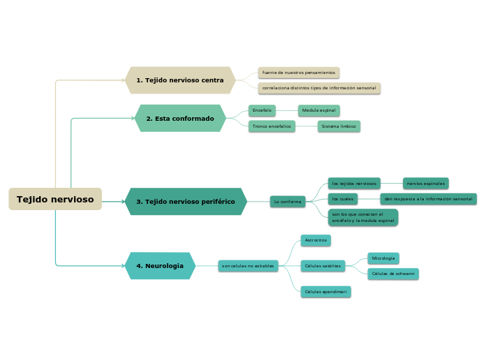 Tejido Nervioso Mind Map